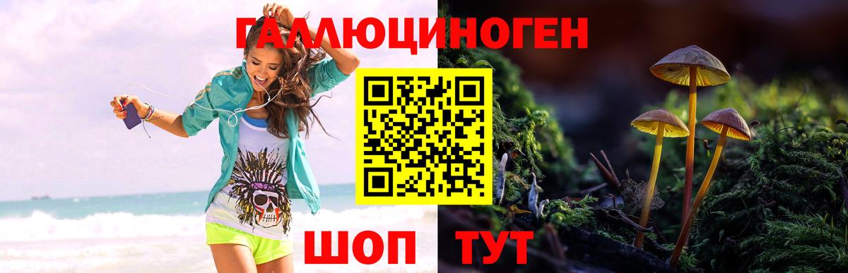 Галлюциногенные грибы Cubensis Фрязино